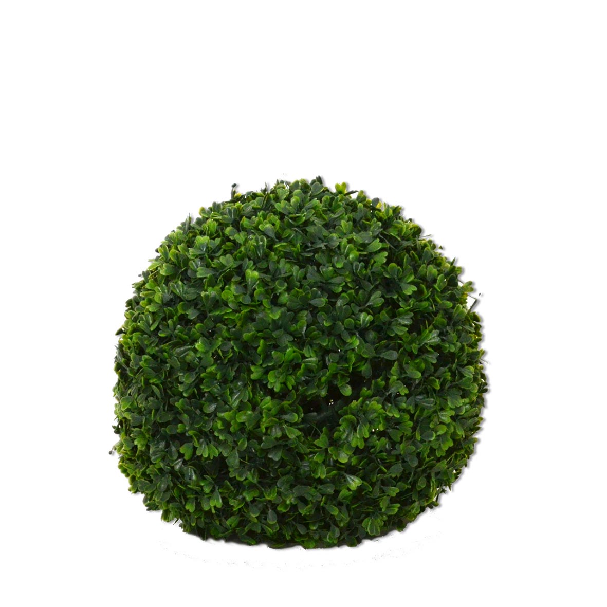 Buchskugel mieten