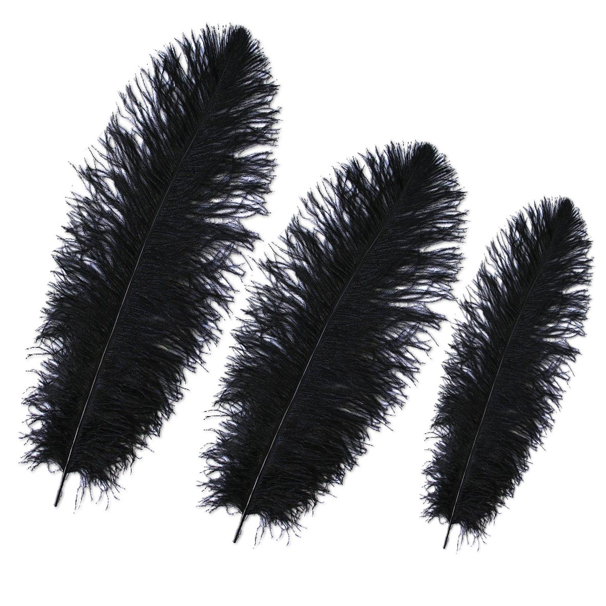 Feder Schwarz