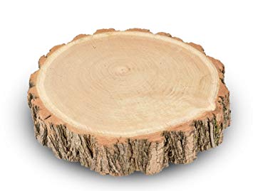 Holzscheibe Eiche mieten