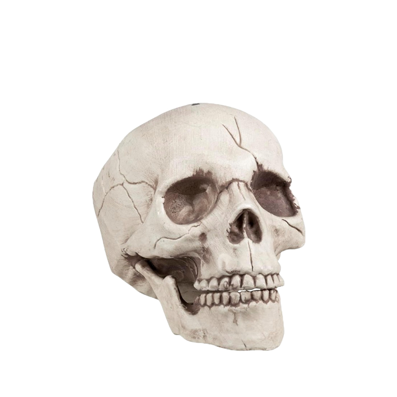 Totenkopf Schädel aus Kunststoff, 14 cm groß, als Halloween-Dekoration zur Miete für Mottopartys, Tischdekorationen und Grusel-Events