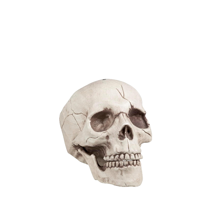 Totenkopf Schädel aus Kunststoff, 14 cm groß, als Halloween-Dekoration zur Miete für Mottopartys, Tischdekorationen und Grusel-Events