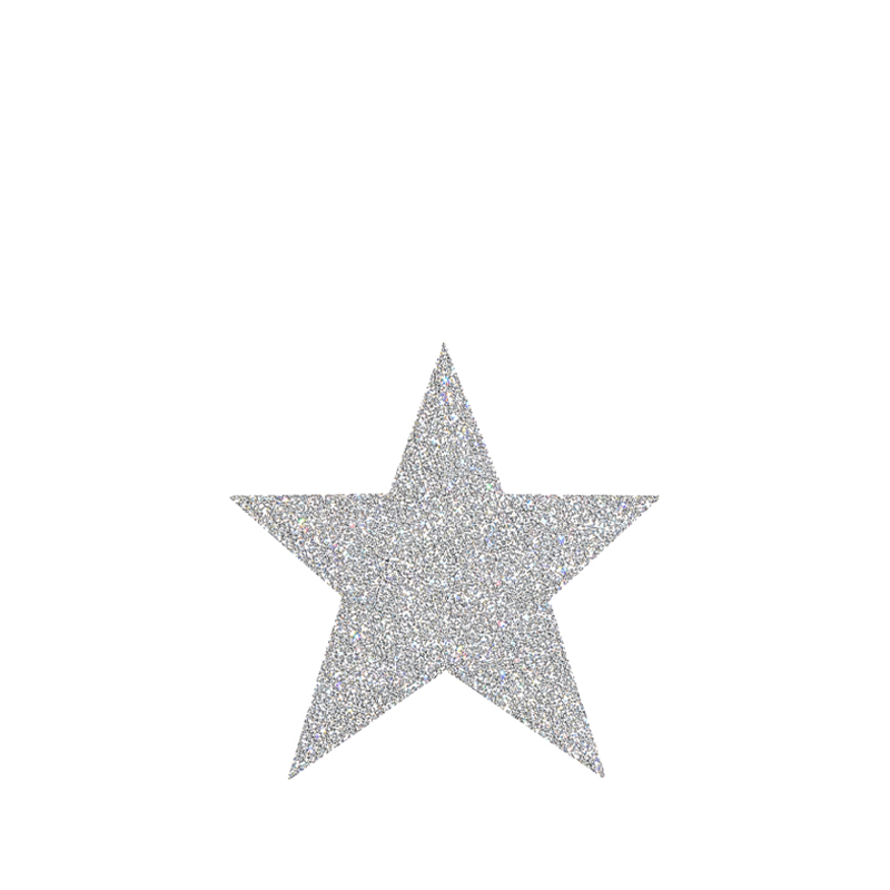 Stern silber | 15cm | zum Hängen | Verleih Dekoration Weihnachtsfeier | Tannenbaum [mieten]