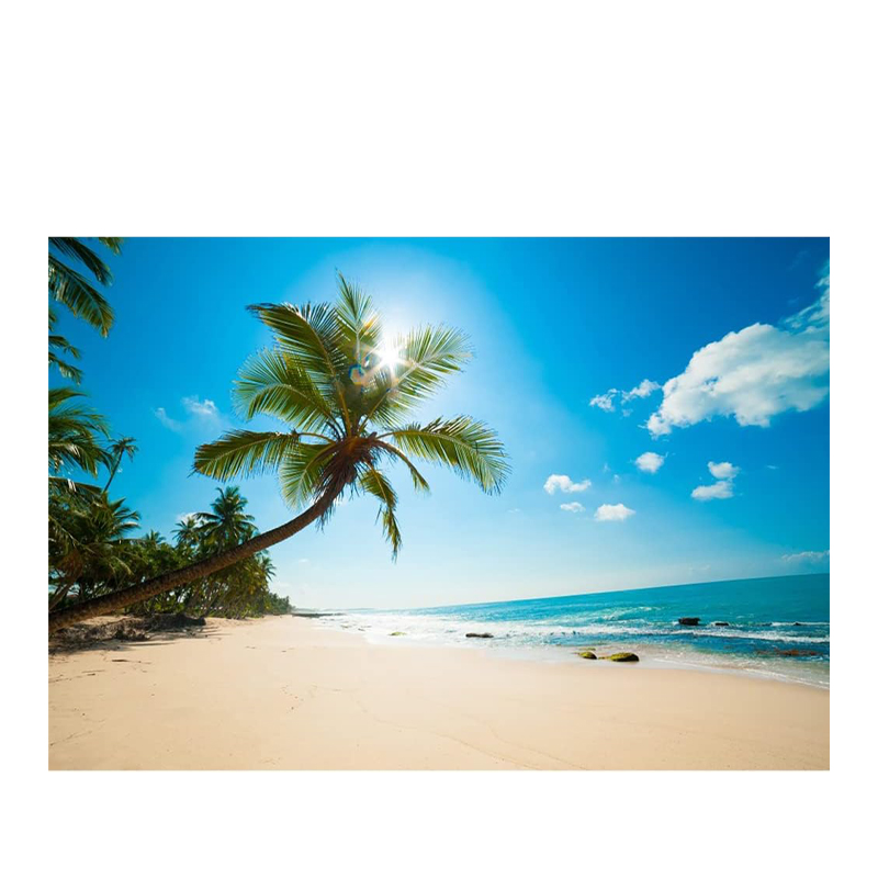 Banner Sonne, Strand und Meer [mieten]