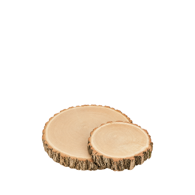 Holzscheibe Eiche mieten