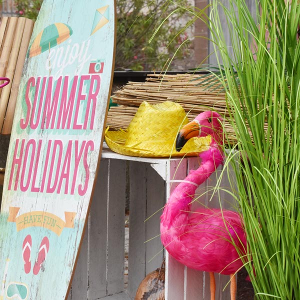 Flamingo mieten