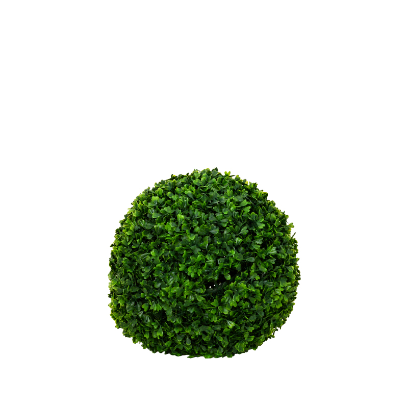Buchskugel mieten