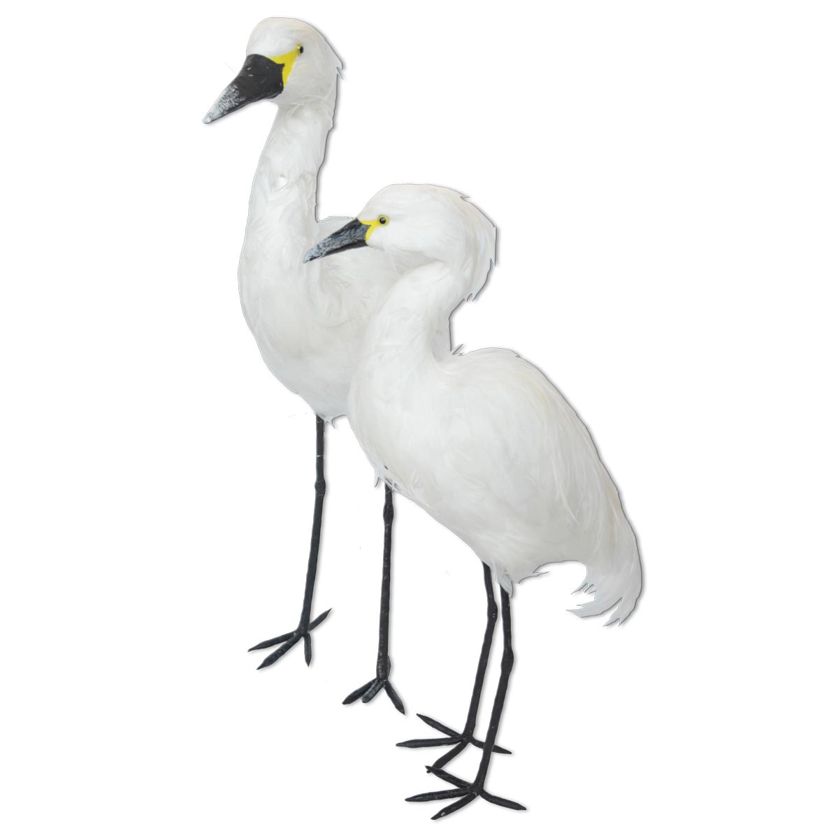 Reiher