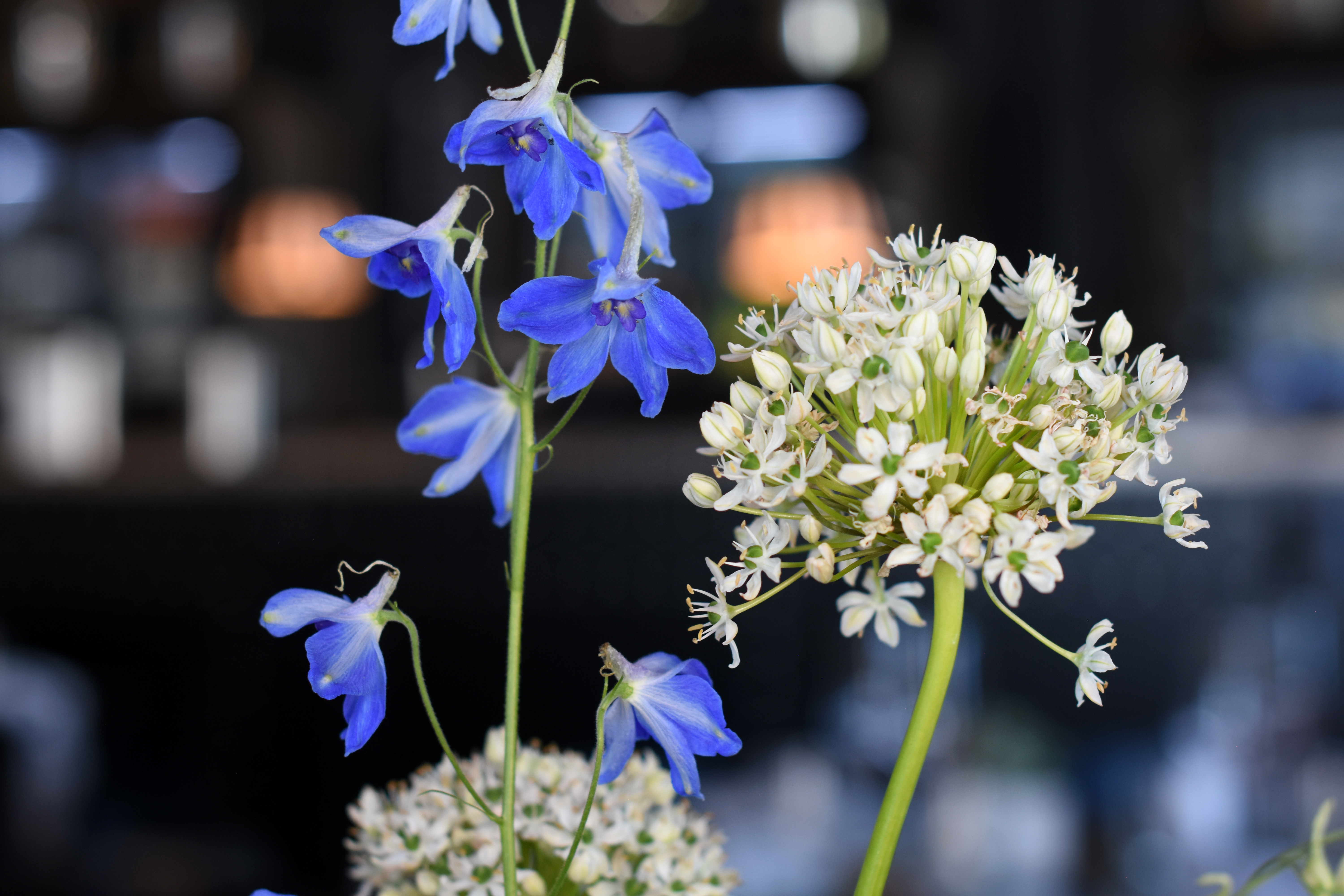 Dekoration_Firmenevent_Tischdeko_modern_puristisch_weiss_blau_grau_schwarz_12