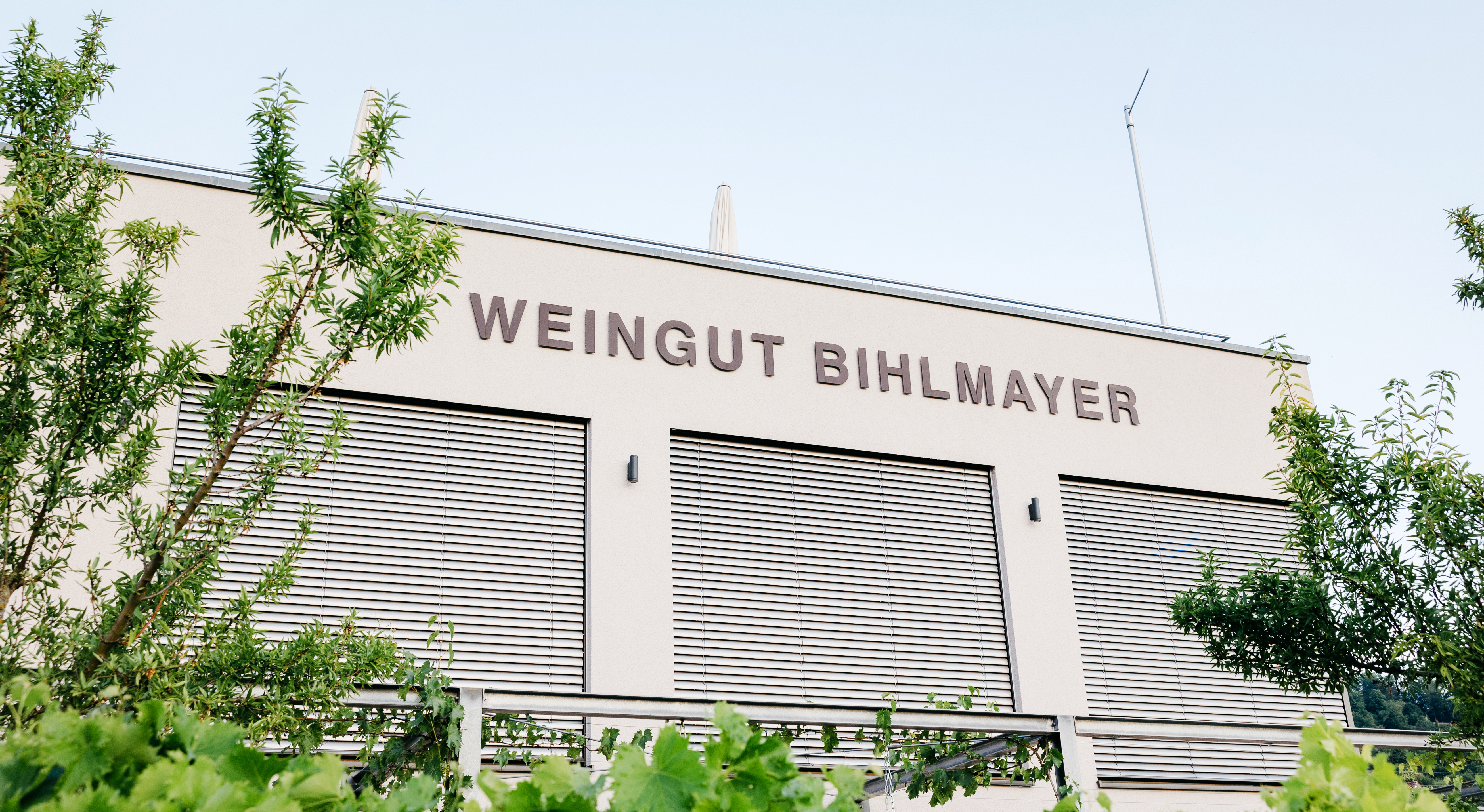 Tischdekoration_Hochzeit_Zelt_Weingut_Bihlmayer_mediterran_weiss_blau_olive_zitrone_4