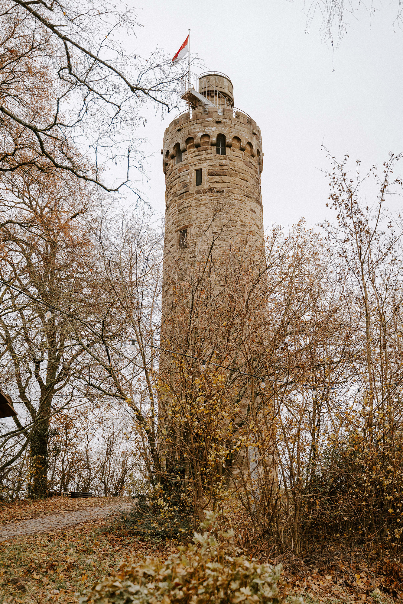 Dekoration_Heuchelberger_Warte