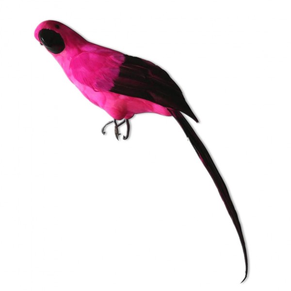Papagei Pink