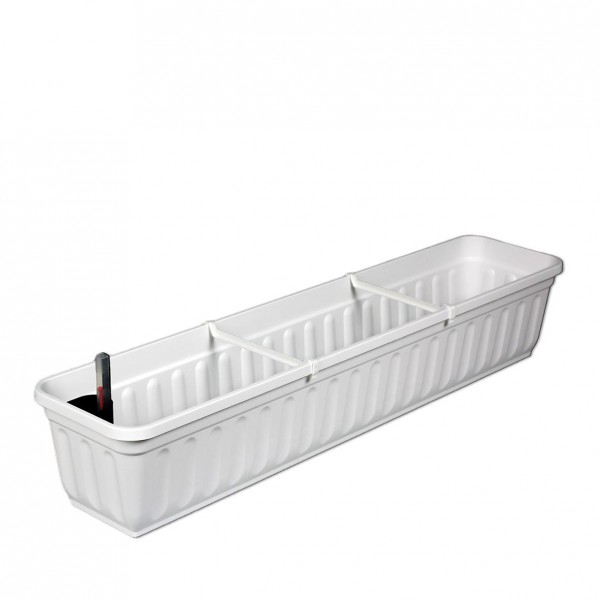 Blumenkasten [mieten]