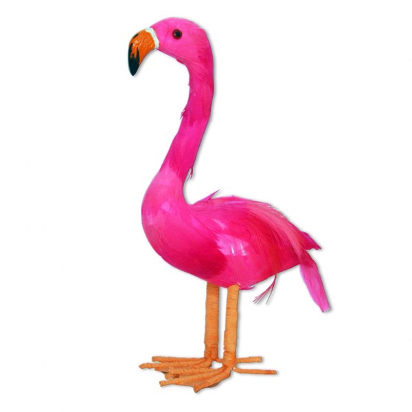 Flamingo Stehend