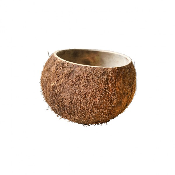 Vase Kokosnuss [mieten]