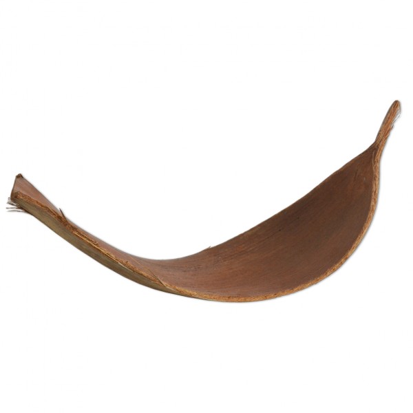 Kokosschale [mieten]