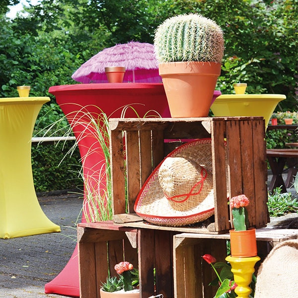 Dekoration mit Kaktustöpfen und Hüten auf einer Holzkiste.