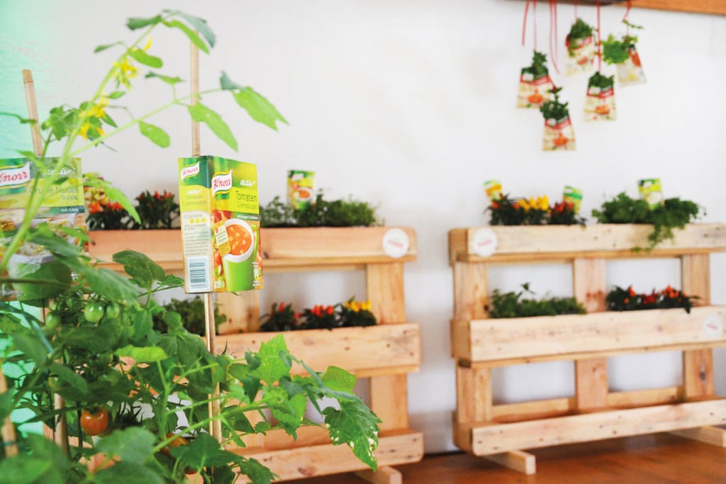 Deko Firmenevent Kundenevent Urban Gardening Natur Lebensmittelhersteller Heilbronn 7