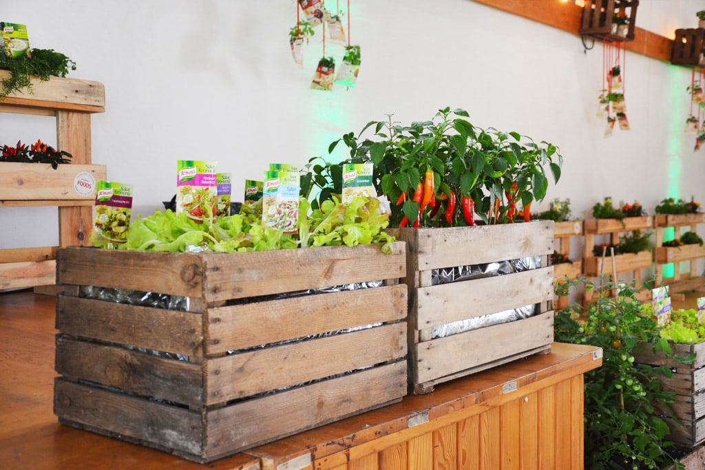 Deko Firmenevent Kundenevent Urban Gardening Natur Lebensmittelhersteller Heilbronn 14