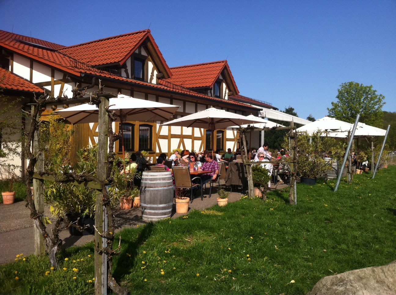 Essbereich im Freien von Beilsteins Weinstube Amalienhof, einem Restaurant im Landhausstil an einem sonnigen Tag mit Gästen, die unter Sonnenschirmen sitzen.