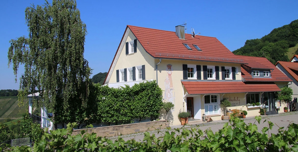 Ein traditionelles Haus mit rotem Dach und grünen Fensterläden, bekannt als Landhaus Hohly, liegt in einer ländlichen Gegend mit üppigem Grün und Hügeln im Hintergrund.