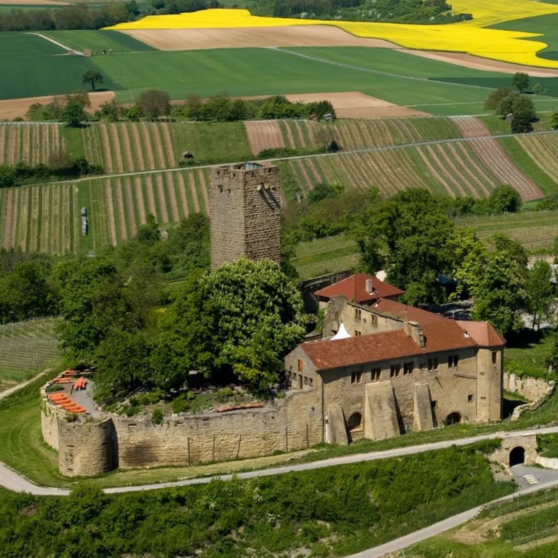 Luftaufnahme einer historischen Steinfestung, umgeben von üppigen grünen Feldern mit gelben Blütenflecken an mehreren Stellen.