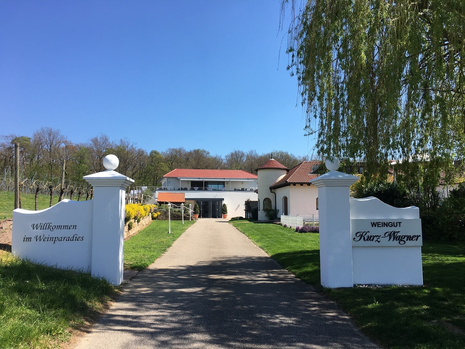 Eingang zum Familienweingut Kurz-Wagner mit Willkommensschild, umgeben von Grün unter einem strahlend blauen Himmel.