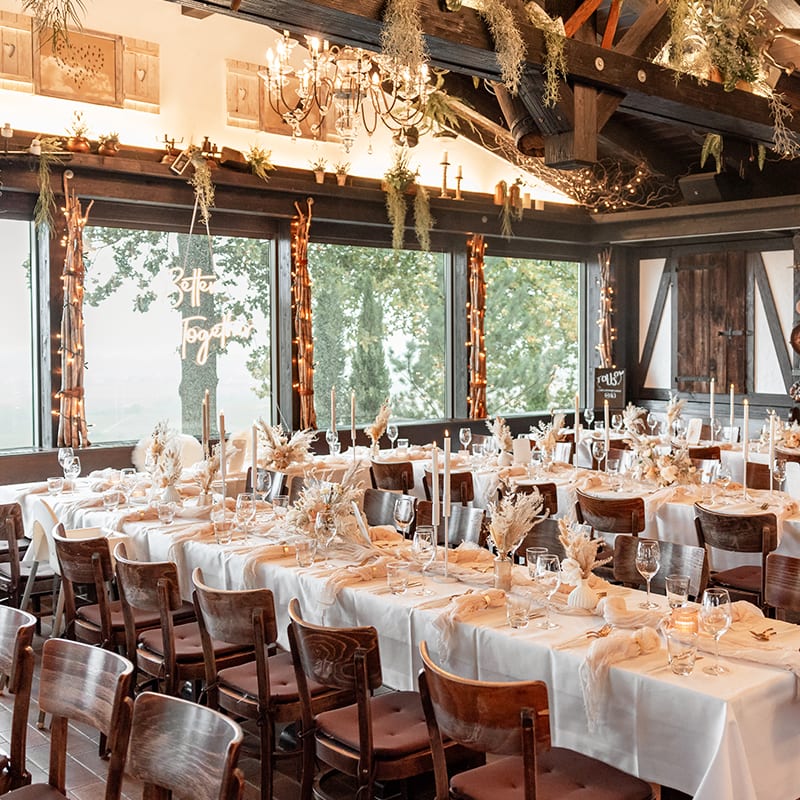 Zarte Eleganz auf der Heuchelberger Warte